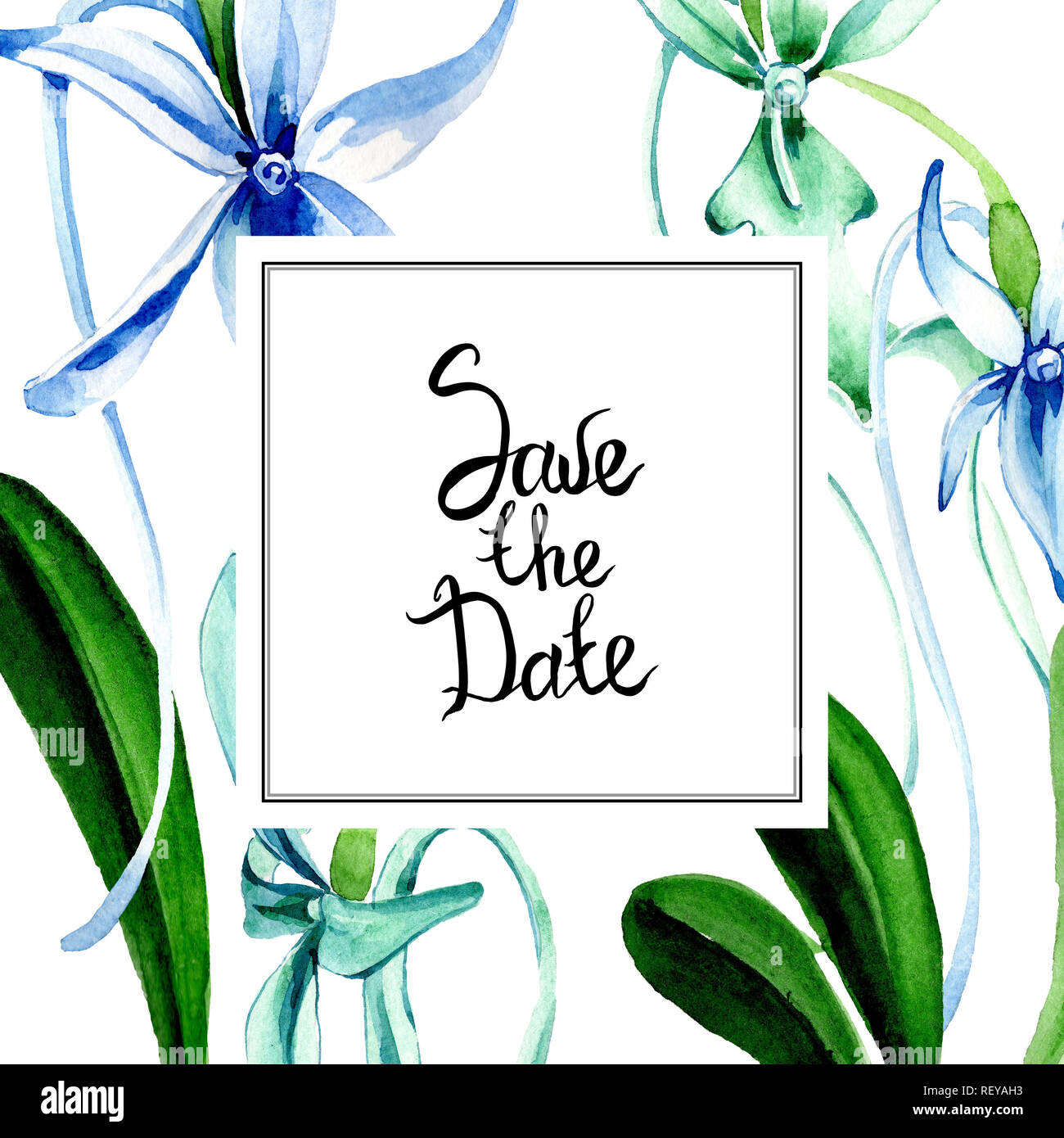 Blue orchidée rare. Botanique Floral fleur. Lame de ressort sauvages isolés de fleurs sauvages. Contexte aquarelle illustration set. Un mode de dessin aquarelle Banque D'Images