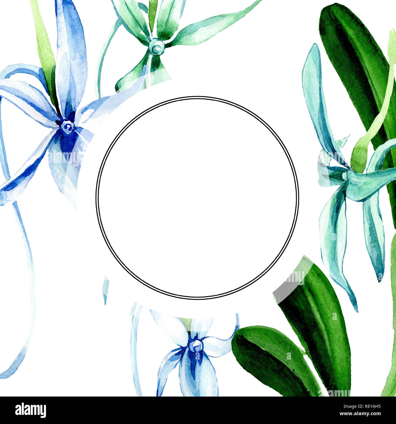 Blue orchidée rare. Botanique Floral fleur. Lame de ressort sauvages isolés de fleurs sauvages. Contexte aquarelle illustration set. Un mode de dessin aquarelle Banque D'Images