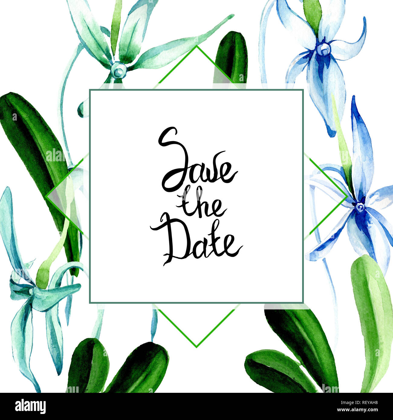 Blue orchidée rare. Botanique Floral fleur. Lame de ressort sauvages isolés de fleurs sauvages. Contexte aquarelle illustration set. Un mode de dessin aquarelle Banque D'Images