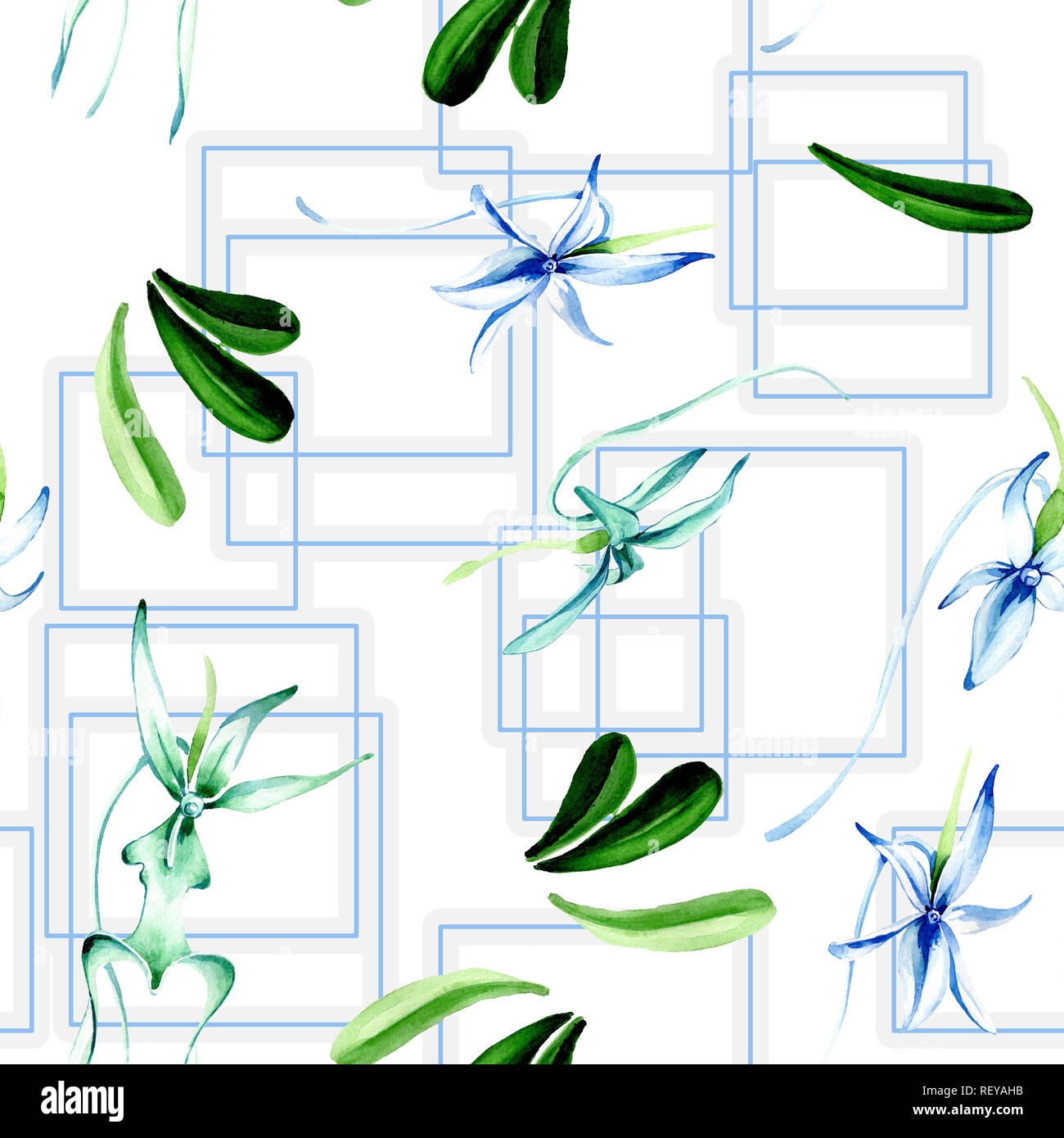 Blue orchidée rare. Botanique Floral fleur. Lame de ressort sauvages. Illustration à l'aquarelle. Aquarelle Dessin aquarelle mode isolé. Bac transparent Banque D'Images