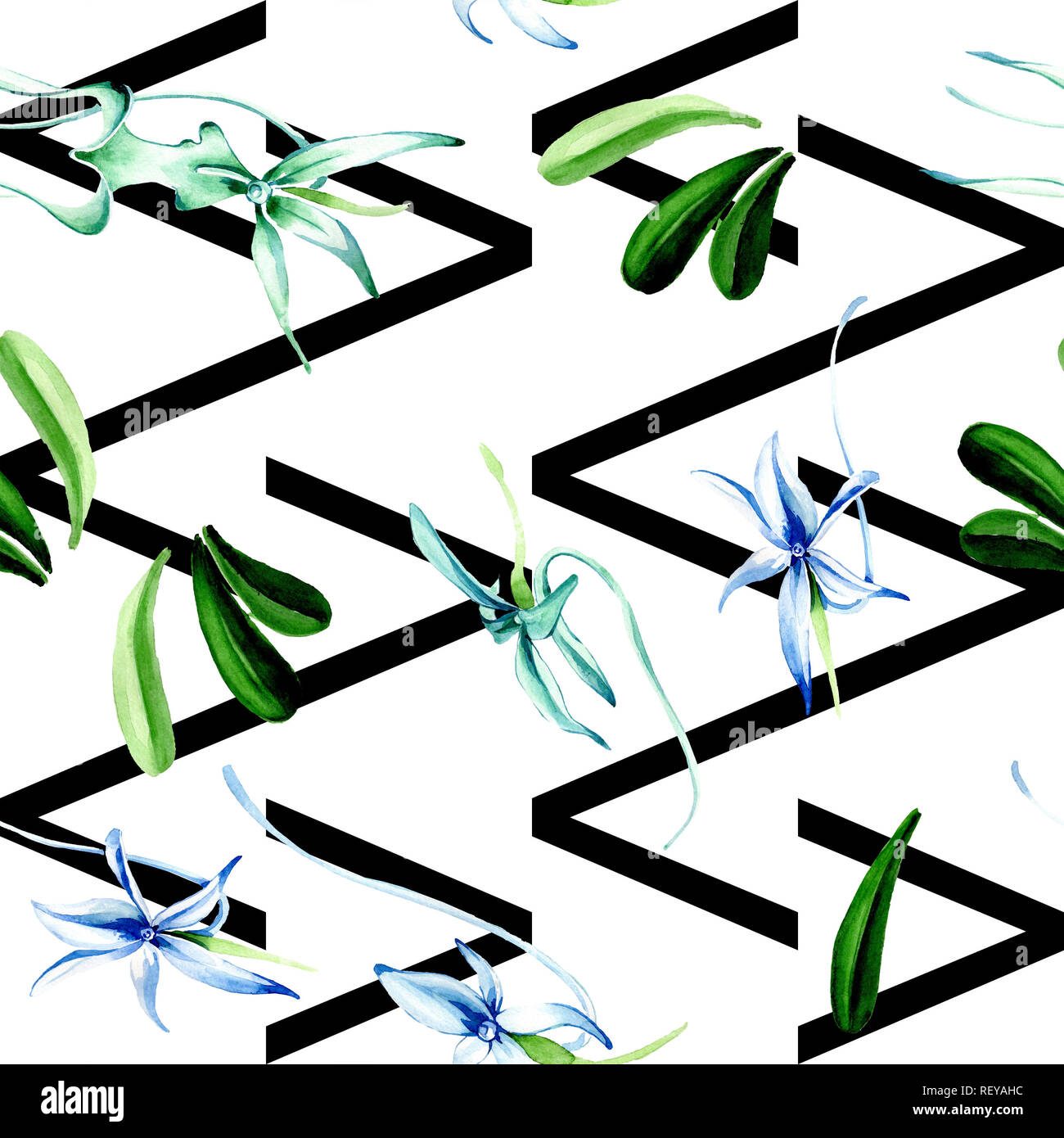 Blue orchidée rare. Botanique Floral fleur. Lame de ressort sauvages. Illustration à l'aquarelle. Aquarelle Dessin aquarelle mode isolé. Bac transparent Banque D'Images
