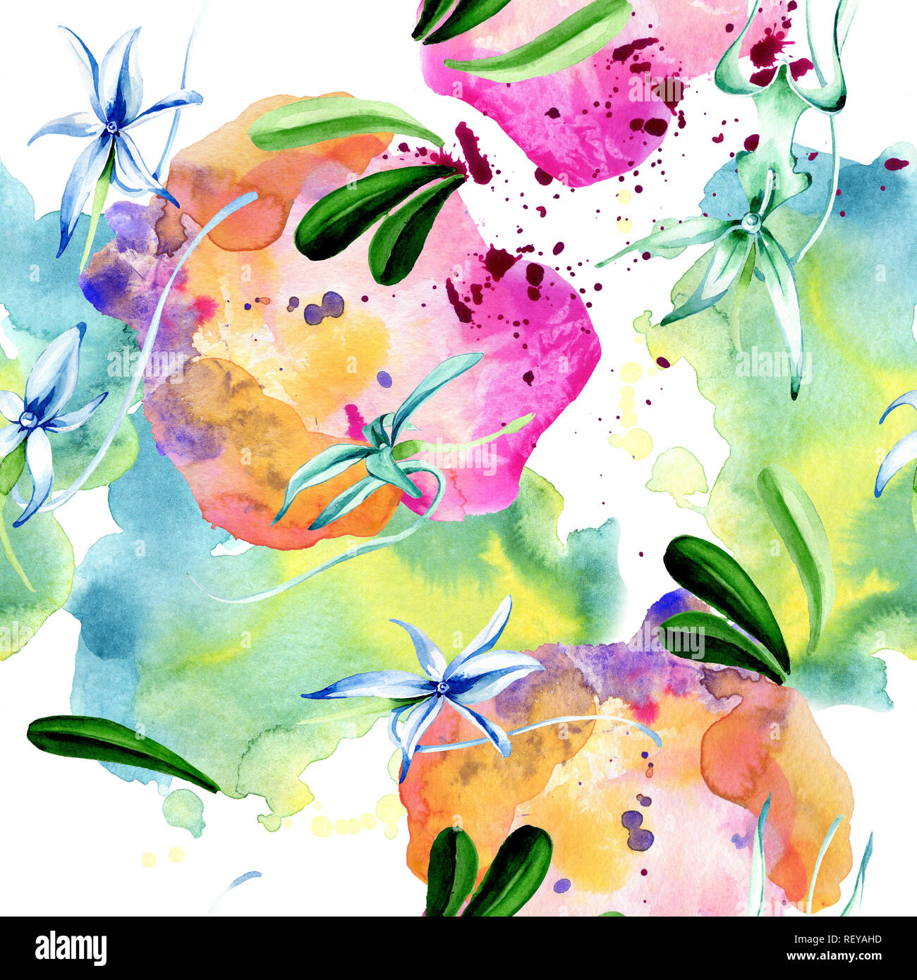 Blue orchidée rare. Botanique Floral fleur. Lame de ressort sauvages. Illustration à l'aquarelle. Aquarelle Dessin aquarelle mode isolé. Bac transparent Banque D'Images