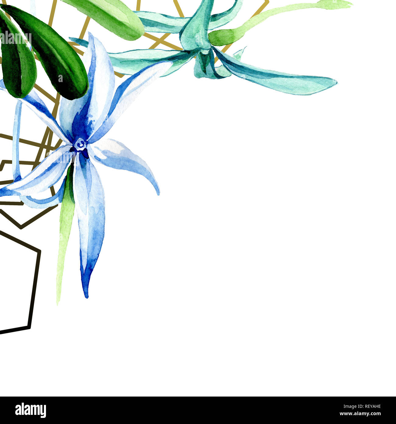 Blue orchidée rare. Botanique Floral fleur. Lame de ressort sauvages isolés de fleurs sauvages. Contexte aquarelle illustration set. Un mode de dessin aquarelle Banque D'Images