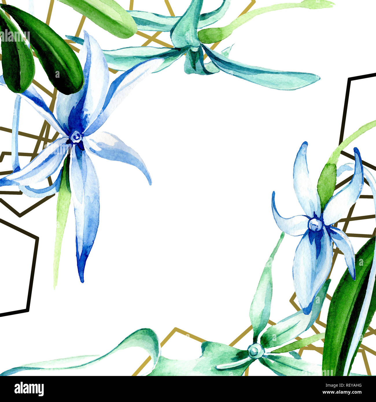 Blue orchidée rare. Botanique Floral fleur. Lame de ressort sauvages isolés de fleurs sauvages. Contexte aquarelle illustration set. Un mode de dessin aquarelle Banque D'Images