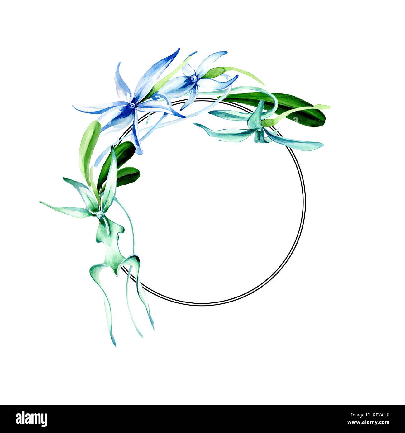 Blue orchidée rare. Botanique Floral fleur. Lame de ressort sauvages isolés de fleurs sauvages. Contexte aquarelle illustration set. Un mode de dessin aquarelle Banque D'Images