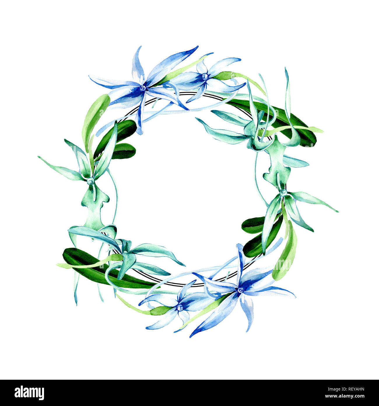 Blue orchidée rare. Botanique Floral fleur. Lame de ressort sauvages isolés de fleurs sauvages. Contexte aquarelle illustration set. Un mode de dessin aquarelle Banque D'Images