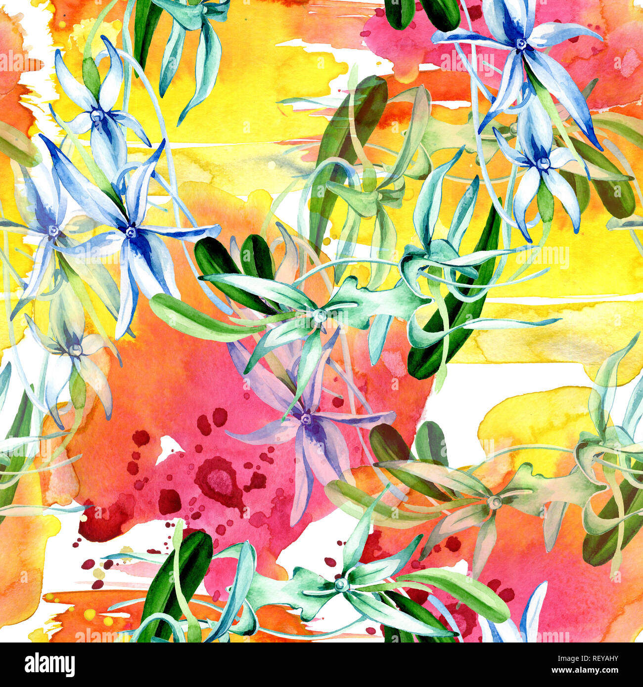 Blue orchidée rare. Botanique Floral fleur. Lame de ressort sauvages. Illustration à l'aquarelle. Aquarelle Dessin aquarelle mode isolé. Bac transparent Banque D'Images