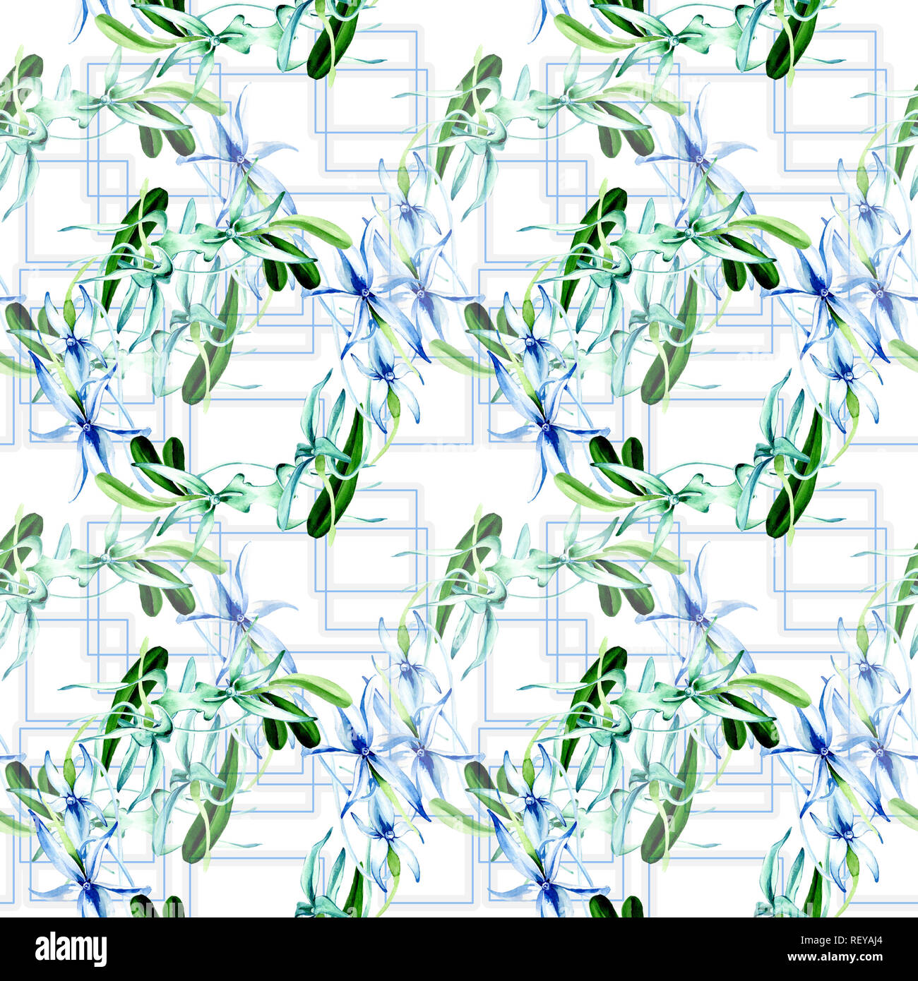 Blue orchidée rare. Botanique Floral fleur. Lame de ressort sauvages. Illustration à l'aquarelle. Aquarelle Dessin aquarelle mode isolé. Bac transparent Banque D'Images