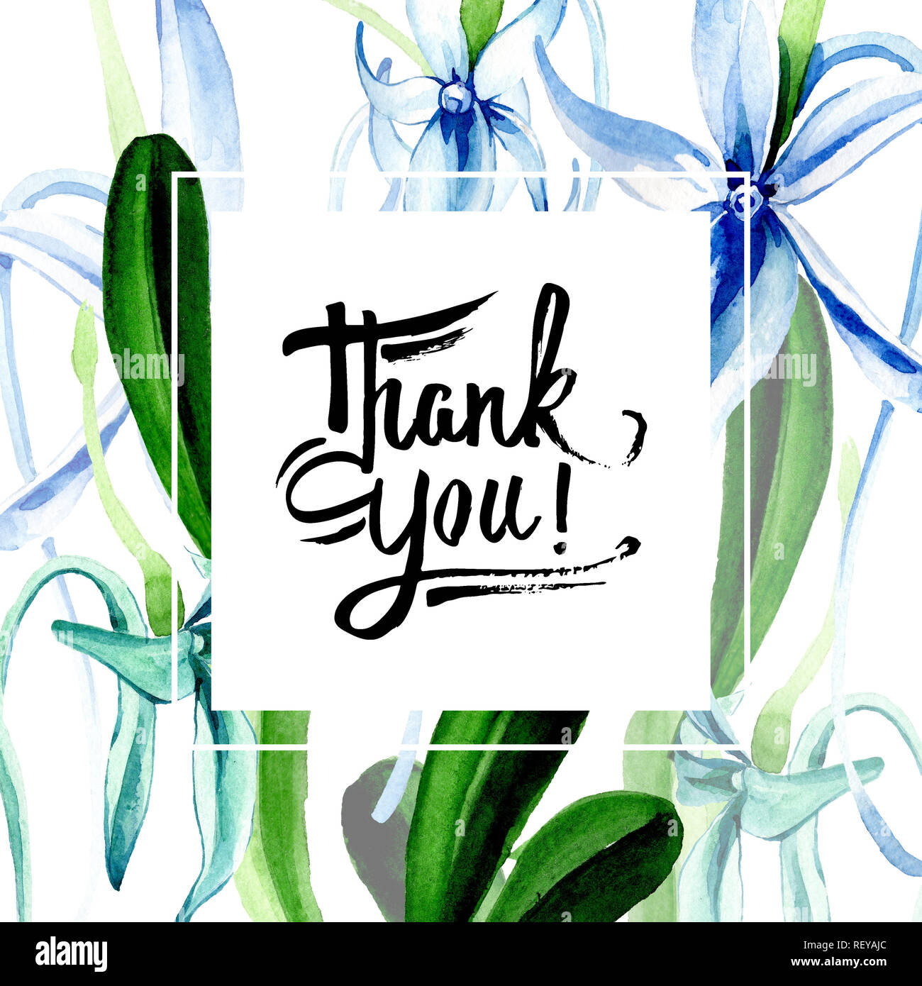 Blue orchidée rare. Botanique Floral fleur. Lame de ressort sauvages isolés de fleurs sauvages. Contexte aquarelle illustration set. Un mode de dessin aquarelle Banque D'Images