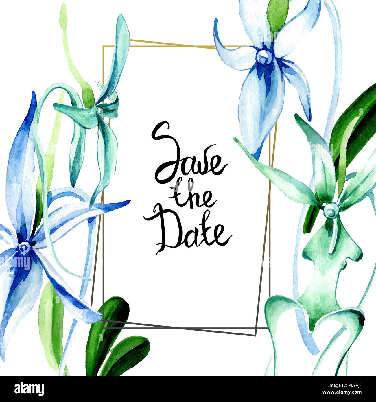 Blue orchidée rare. Botanique Floral fleur. Lame de ressort sauvages isolés de fleurs sauvages. Contexte aquarelle illustration set. Un mode de dessin aquarelle Banque D'Images