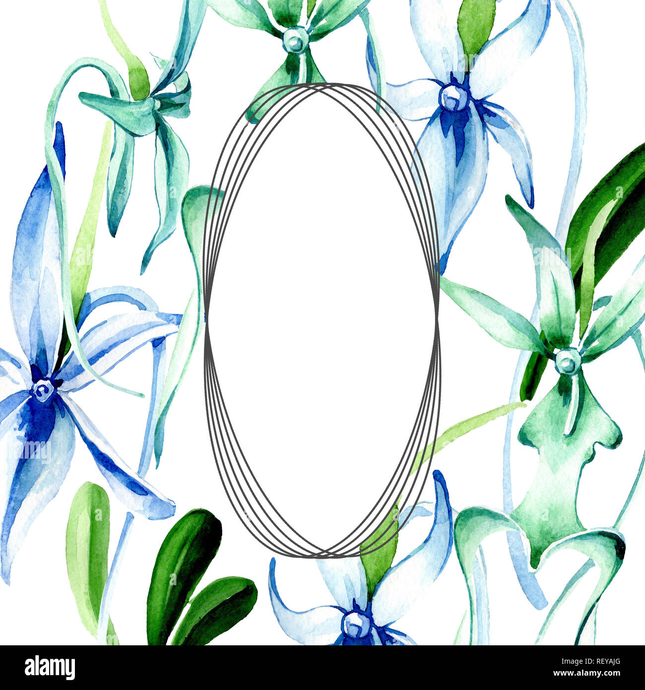 Blue orchidée rare. Botanique Floral fleur. Lame de ressort sauvages isolés de fleurs sauvages. Contexte aquarelle illustration set. Un mode de dessin aquarelle Banque D'Images