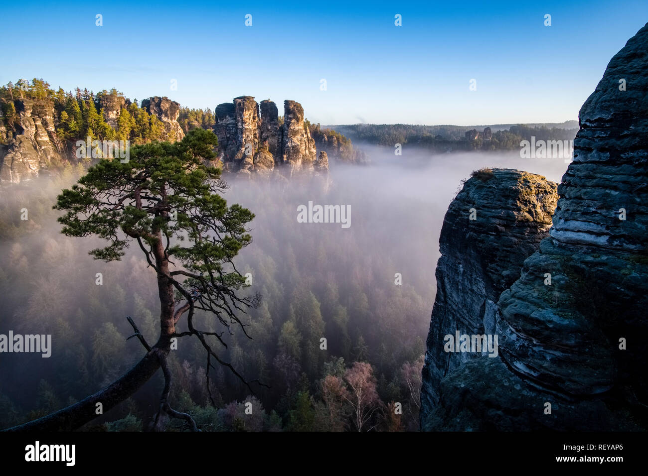 Dans le paysage du Parc National Suisse saxonne avec Gansfels rock formations, sommet et arbres, le brouillard dans la vallée de l'Elbe Banque D'Images