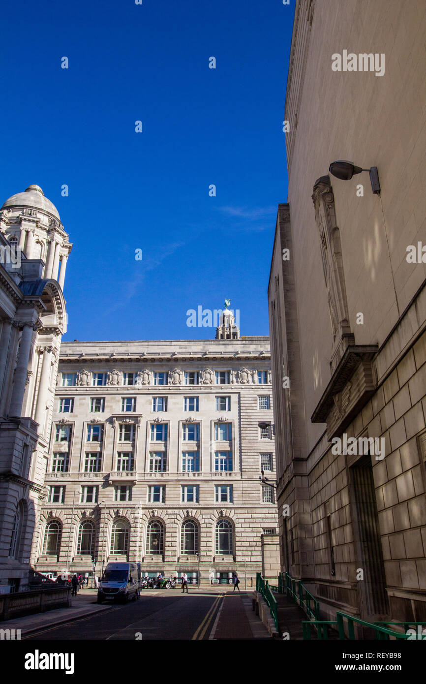 L'oiseau au-dessus du foie, Cunard Building Liverpool Banque D'Images