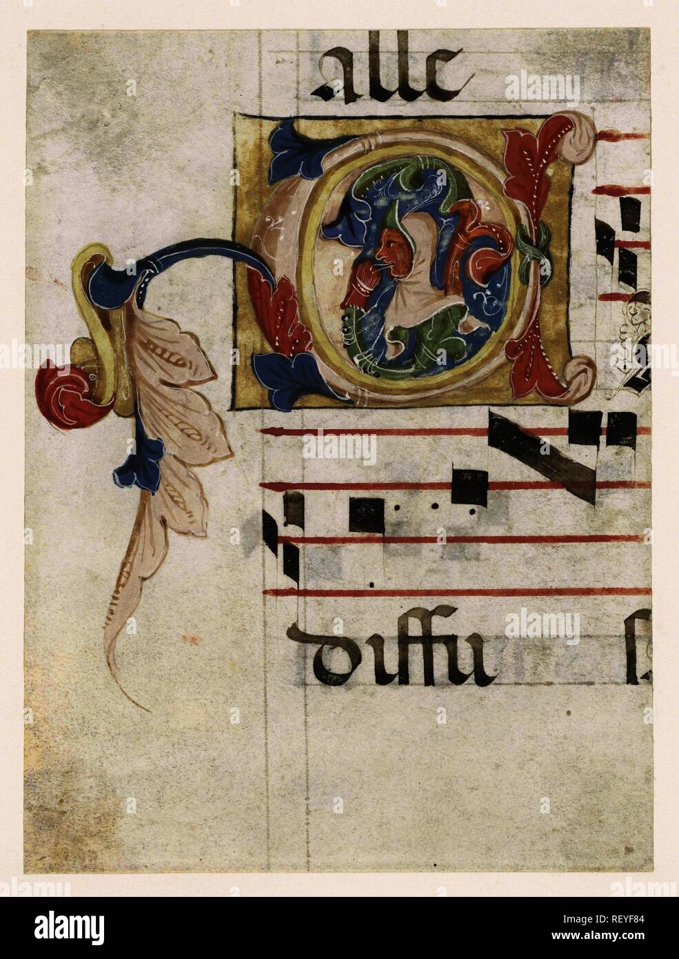 Fragment d'un livre de choeur : initiale historiée C avec un fou dans un bouchon. Rapporteur pour avis : anonyme. Dating : 1350 - 1400. Dimensions : H 185 mm × W 139 mm. Musée : Rijksmuseum, Amsterdam. Banque D'Images