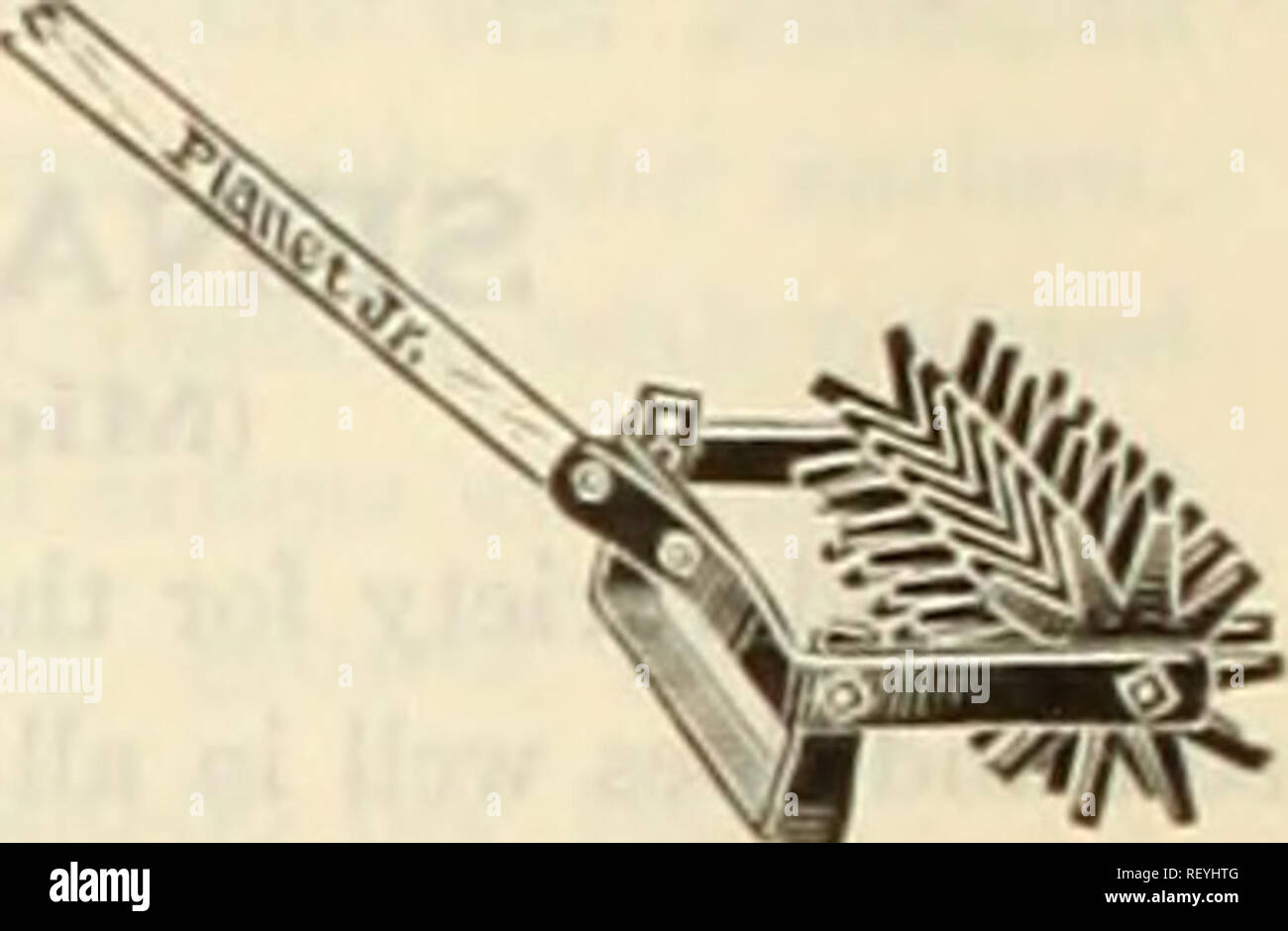 . Dreer est milieu de l'été 1925 liste. Graines de fleurs, graines de légumes Catalogues Catalogues ; pépinières (Horticulture) ; Catalogues Catalogues de fournitures et de matériel de jardinage. Bordure d'herbe Couteau (56) Céleri blanchisseur. Le renflouement de blanchiment Céleri Tubes sont ma e de papier imperméabilisé. Avec eux très tôt le céleri peut être eu pour la table rince ils peuvent être pla. ed tout moment les plantes sont suffisamment grandes. Libre circulation de l'air dans les tubes garde les plantes en bon état, même en eau chaude ou humide. Nettoyer le céleri ainsi obtenu plus de rembourse le coût, en particulier pour l'utilisation privée. Douzaine de cent mille 6 Banque D'Images