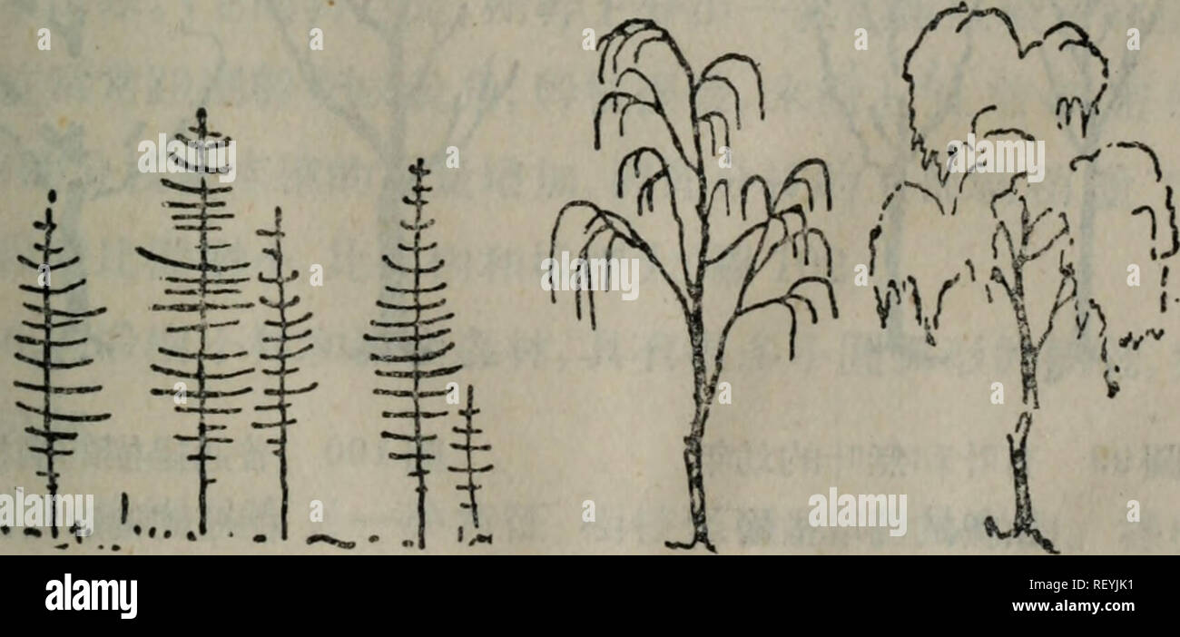 . Physiologie de l'arboriculture ; actes d'un symposium tenu à Long Ashton Station de recherche, l'Université de Bristol, du 25 au 28 mars 1969. ; botanique ; arbres. immji mmnfcmmmm^&amp;94*N95)0 Mmm^m^^^m wm um 96)0 *"H-t&amp;Â"K5^^jiw Â":un ft &AMP ; *Â"t*im*,Â" !Â"II"j# teÂ"i*-# , * * m sS m epttt^* Â"*K, jBBti jsssflÂ« B**"iw $*, * b * Â" # t im- (â 97 Â"i 98) o. lea 06^ givh s ?&amp;1397 MfBj ^nmmwmmtm j'â 61 â. Veuillez noter que ces images sont extraites de la page numérisée des images qui peuvent avoir été retouchées numériquement pour plus de lisibilité - coloration et l'aspect de ces illustrations ne peut pas parfaitement resem Banque D'Images