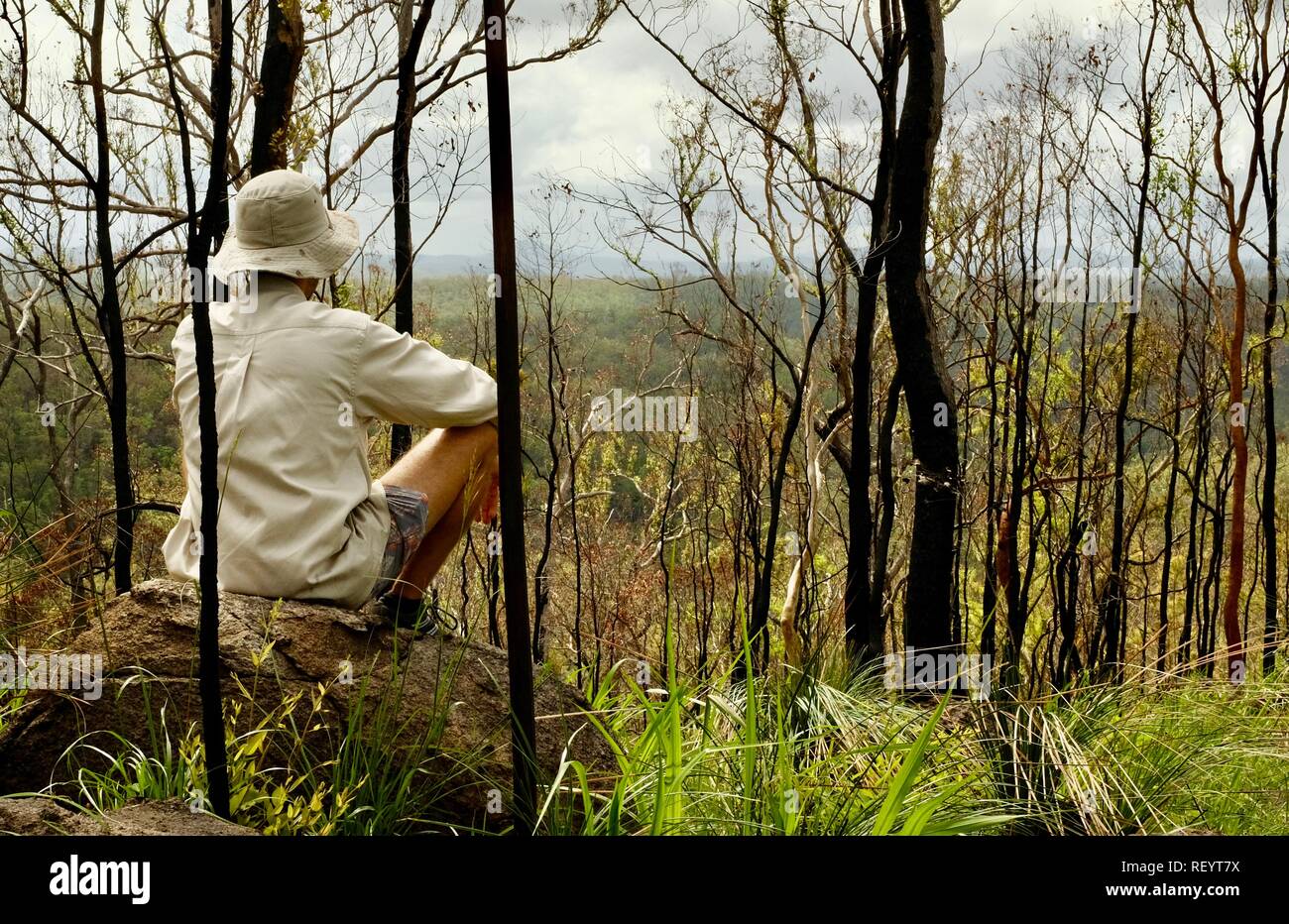 Homme assis sur un rocher et surplombant les collines, Mia Mia State Forest, Queensland, Australie Banque D'Images