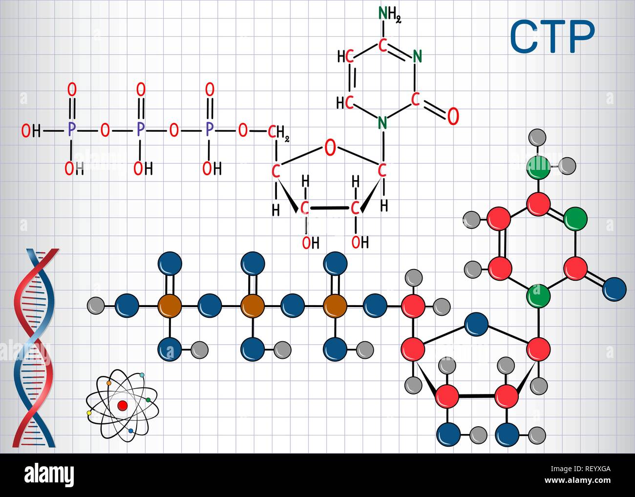 Cytidine triphosphate (CTP) molécule, c'est la molécule de nucléoside pyrimidine. Formule chimique structurale et molécule modèle. Feuille de papier dans une cage. Illustration de Vecteur