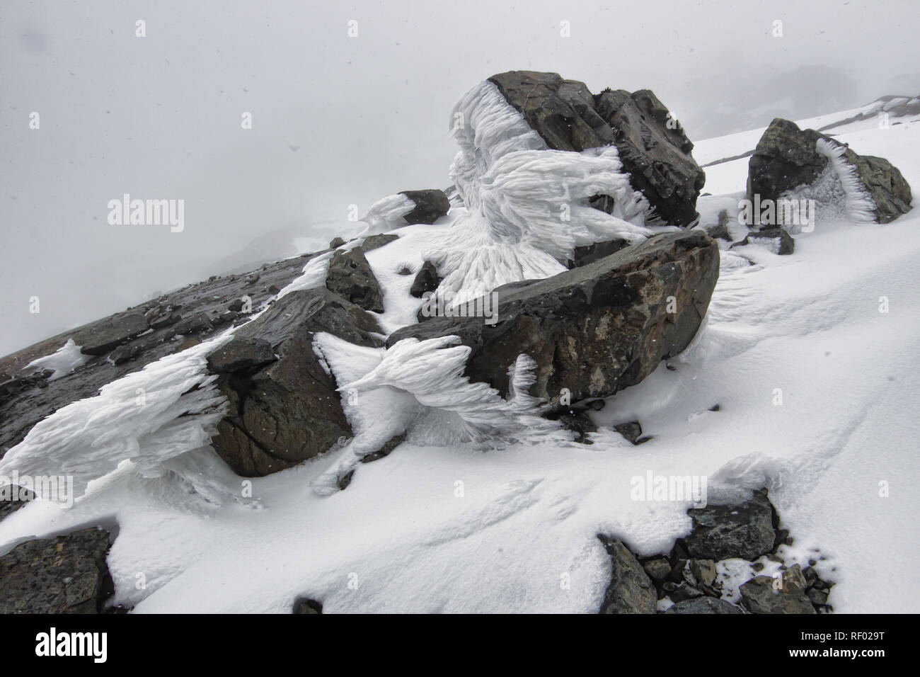 Mont Stanley est le point le plus élevé de l'Ouganda et la République démocratique du Congo et fait partie du Parc National des Monts Rwenzori en Ouganda. Banque D'Images