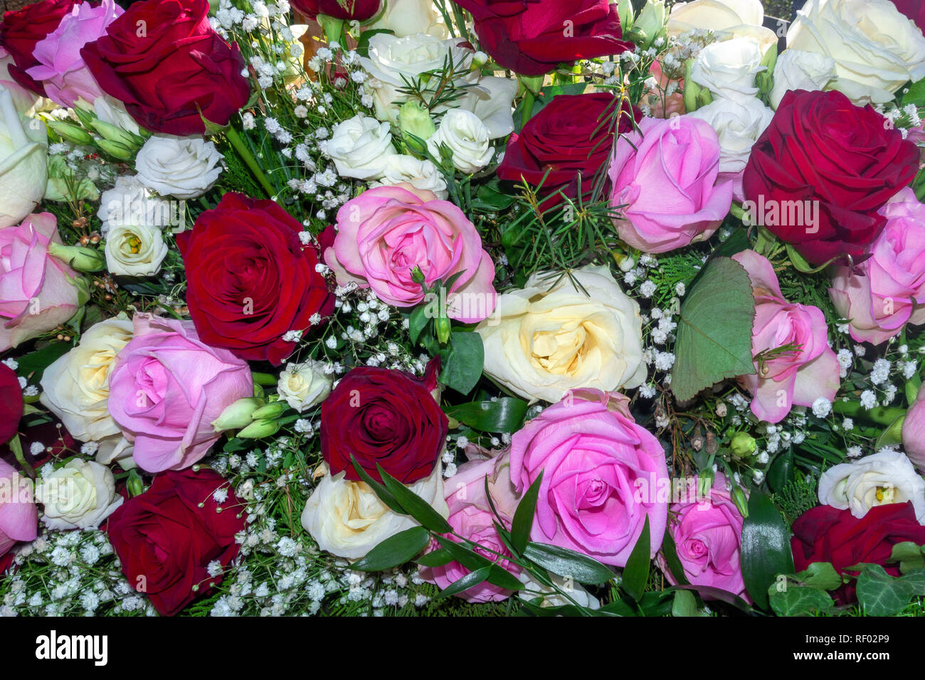 Arrangement de fleur blanche, rose et roses rouges Banque D'Images