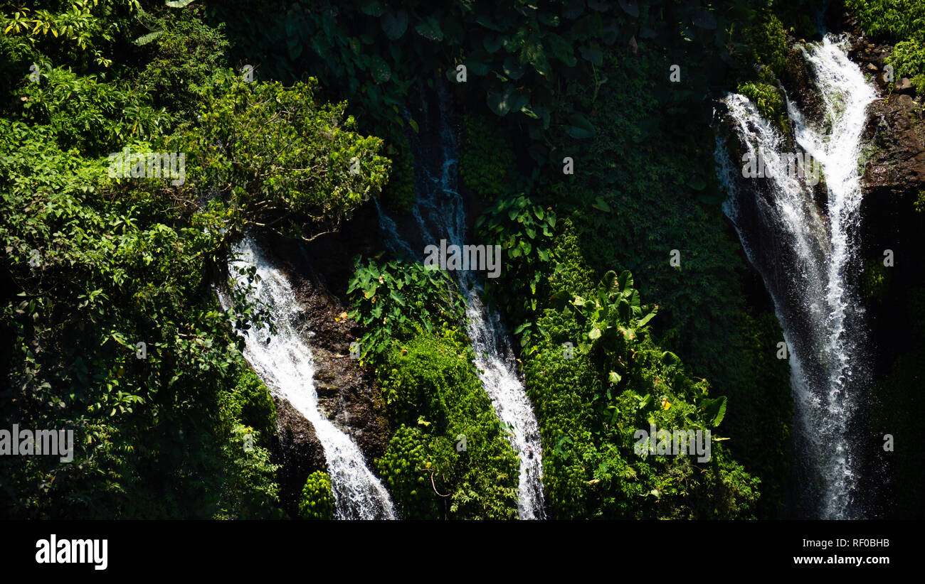 Coban cascade sewu à Java, en Indonésie. cascade dans la forêt tropicale par drone Tumpak Sewu Banque D'Images