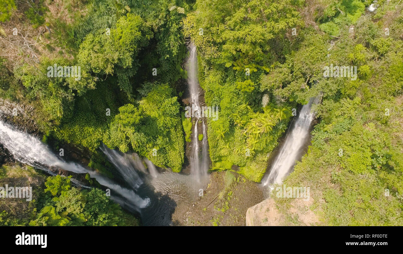 Cascade dans la forêt verte. Vue aérienne de Sekumpul triple cascade tropicale jungle de montagne. Bali,Indonésie. Concept de voyage. Banque D'Images