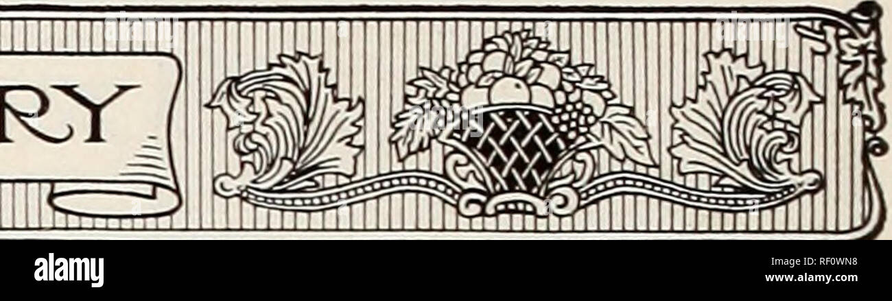 . Catalogue des pépinières de Mount Hope créé en 1840. Pépinières (Horticulture) ; Catalogues Catalogues de graines Roses Fraises ; catalogues ; bulbes (plantes) ; Catalogues Catalogues Catalogues de fruits, fleurs. ^&Lt ;"^^^^^ ? de l'agsa3 SGI^^^ [ ELLWANGER &AMP ;* BARRY __. Les prunes-Suite McLaughlin. Grands, ronds, jaune verdâtre, sucrée et très bien, très bon. Un petit producteur. L'un des meilleurs pour l'usage de la famille. Milieu d'août. 50c chacune. 10 pour 4,00 $. Monarque. Très grandes, arrondies ; ovale bleu violacé foncé ; freestone ; excellent. Une abondante au porteur. 50c chacune. 10 pour l'article 4.00. Peter's Gage jaune. Grand ovale ; lumineux, près de mar Banque D'Images