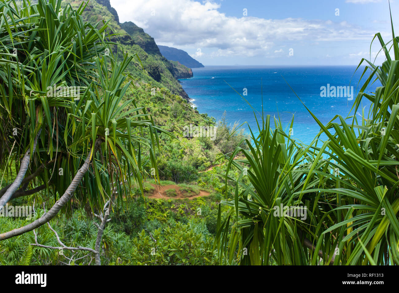 La côte de Na Pali de Kauai, Hawaii, United States est accessible seulement à pied de la superbe Kalalau trail randonnée. Banque D'Images