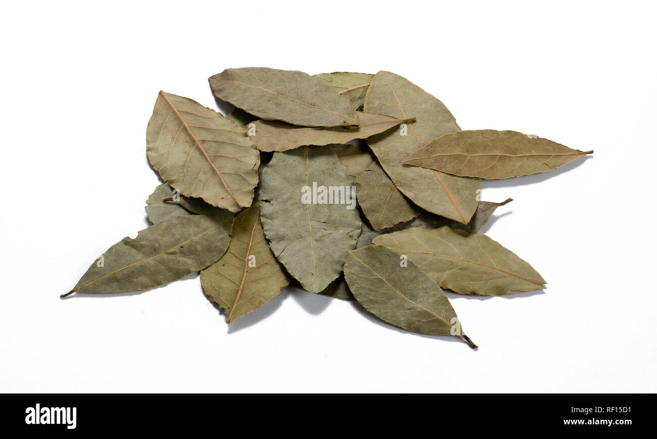 Pile de feuilles de laurier Banque D'Images