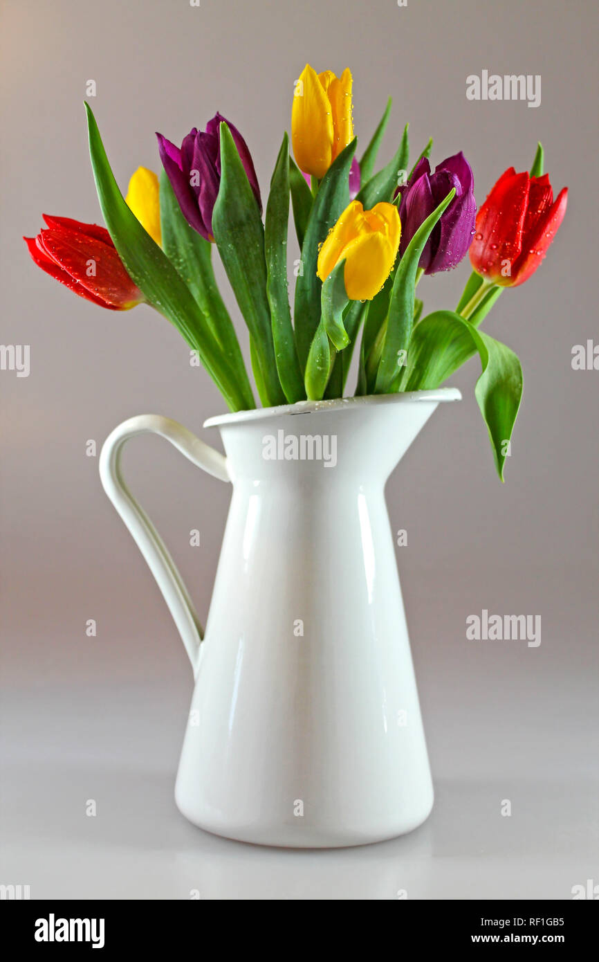 Bouquet de tulipes multicolores fraîche avec des gouttes de rosée dans white jug. Banque D'Images