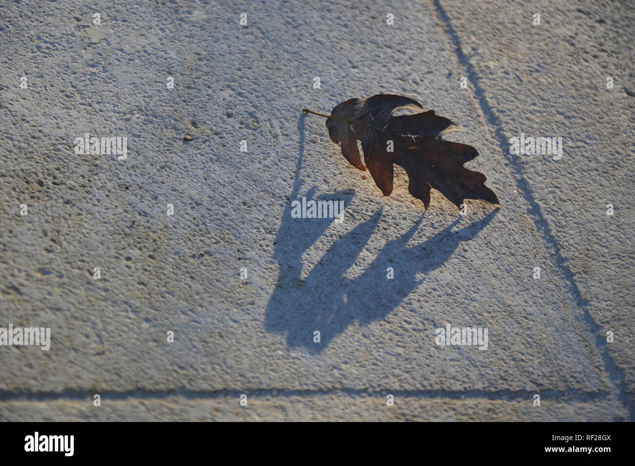 Ombres sur le terrain Banque D'Images