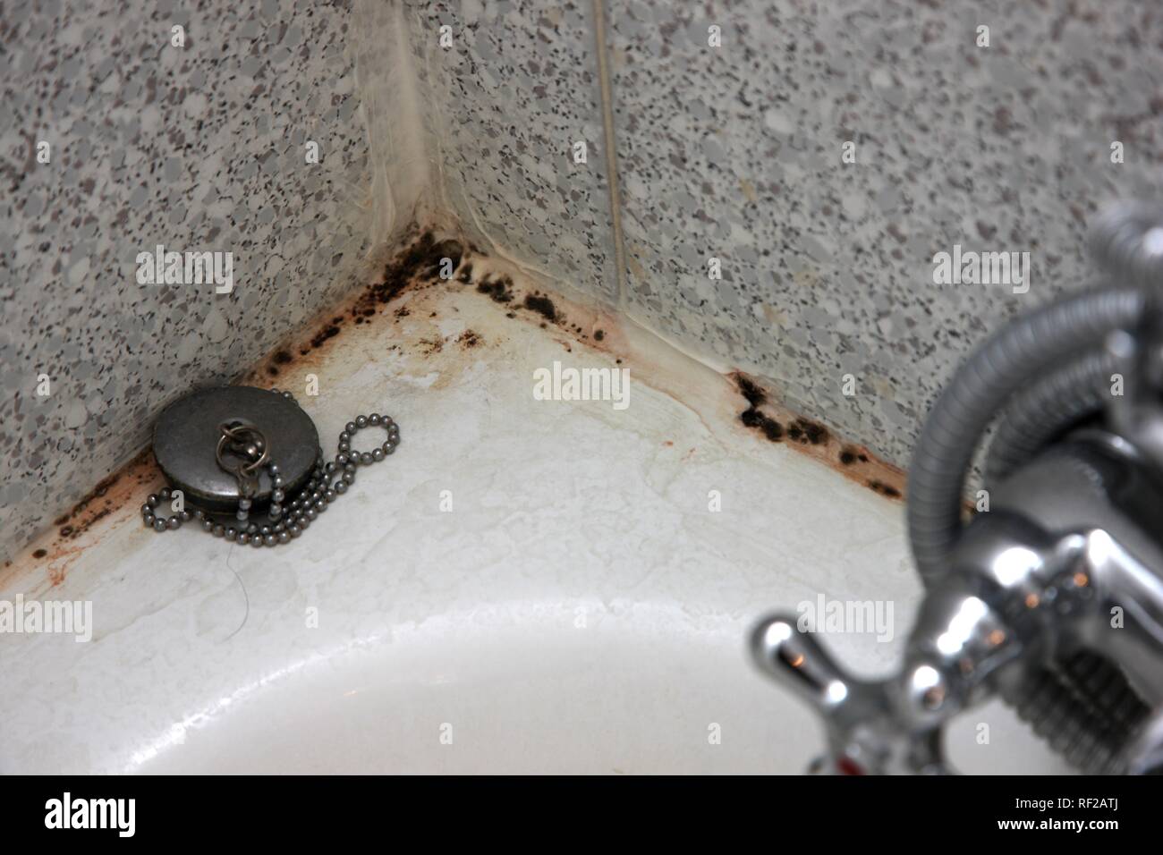 La moisissure noire sur les joints de carrelage dans une salle de bains, baignoire Photo Stock