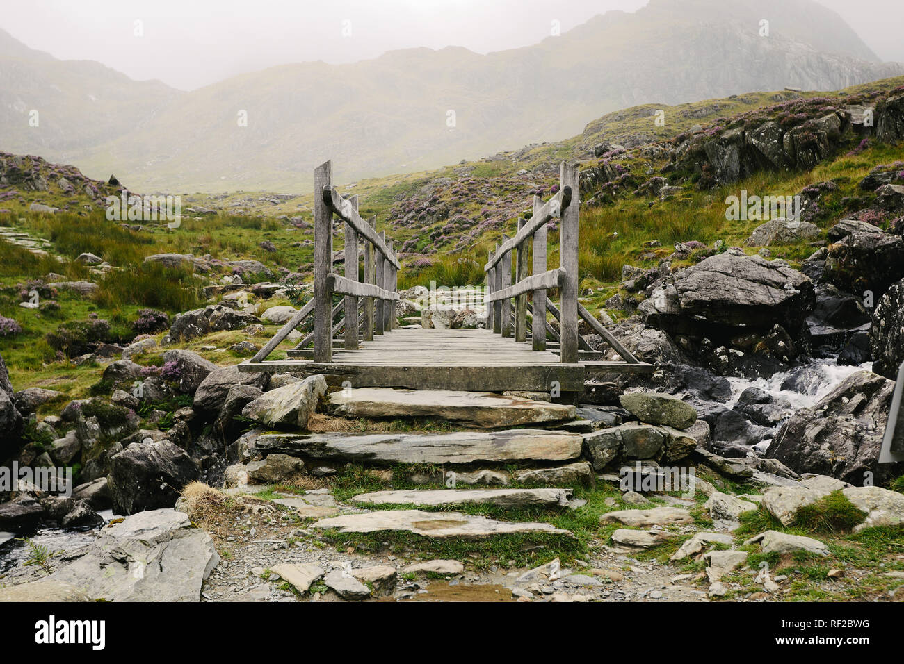 Une passerelle au-dessus d'une montagne chute près de Llyn Idwal, Galles Banque D'Images