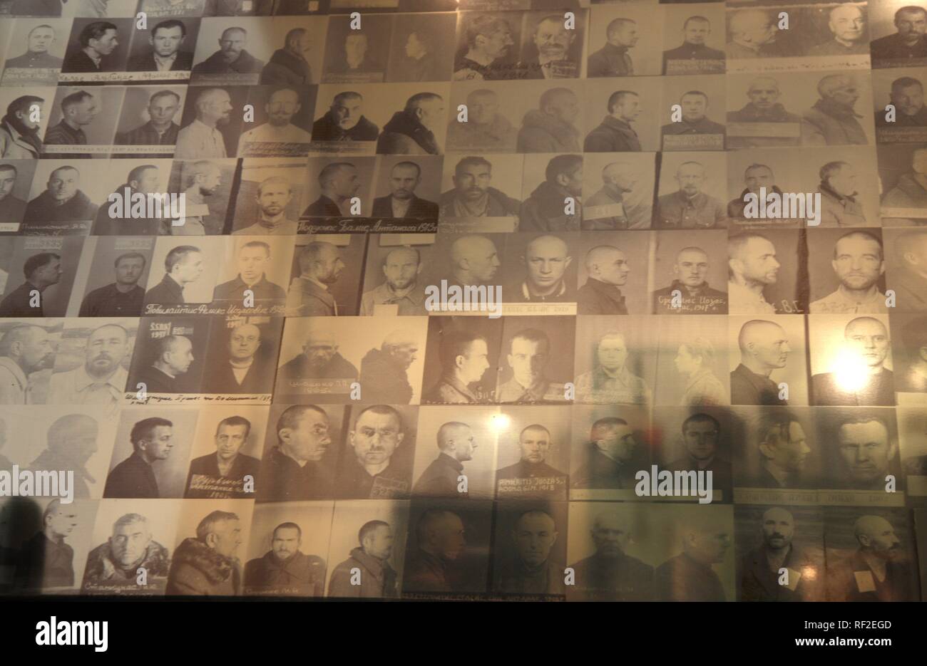 Photos dans le musée du KGB, Musée du Génocide, traitant avec les périodes d'Allemand et soviétique, professions et génocide, Vilnius Banque D'Images