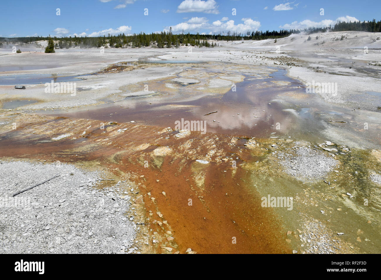 Bassin en porcelaine, Parc National de Yellowstone, aux États-Unis. Banque D'Images