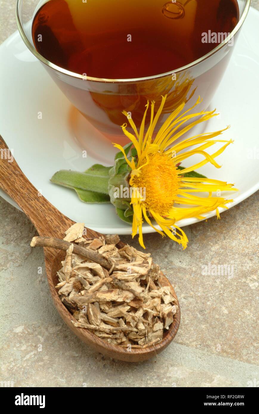 Horse-Heal ou grande aunée (Inula helenium), tisane Banque D'Images