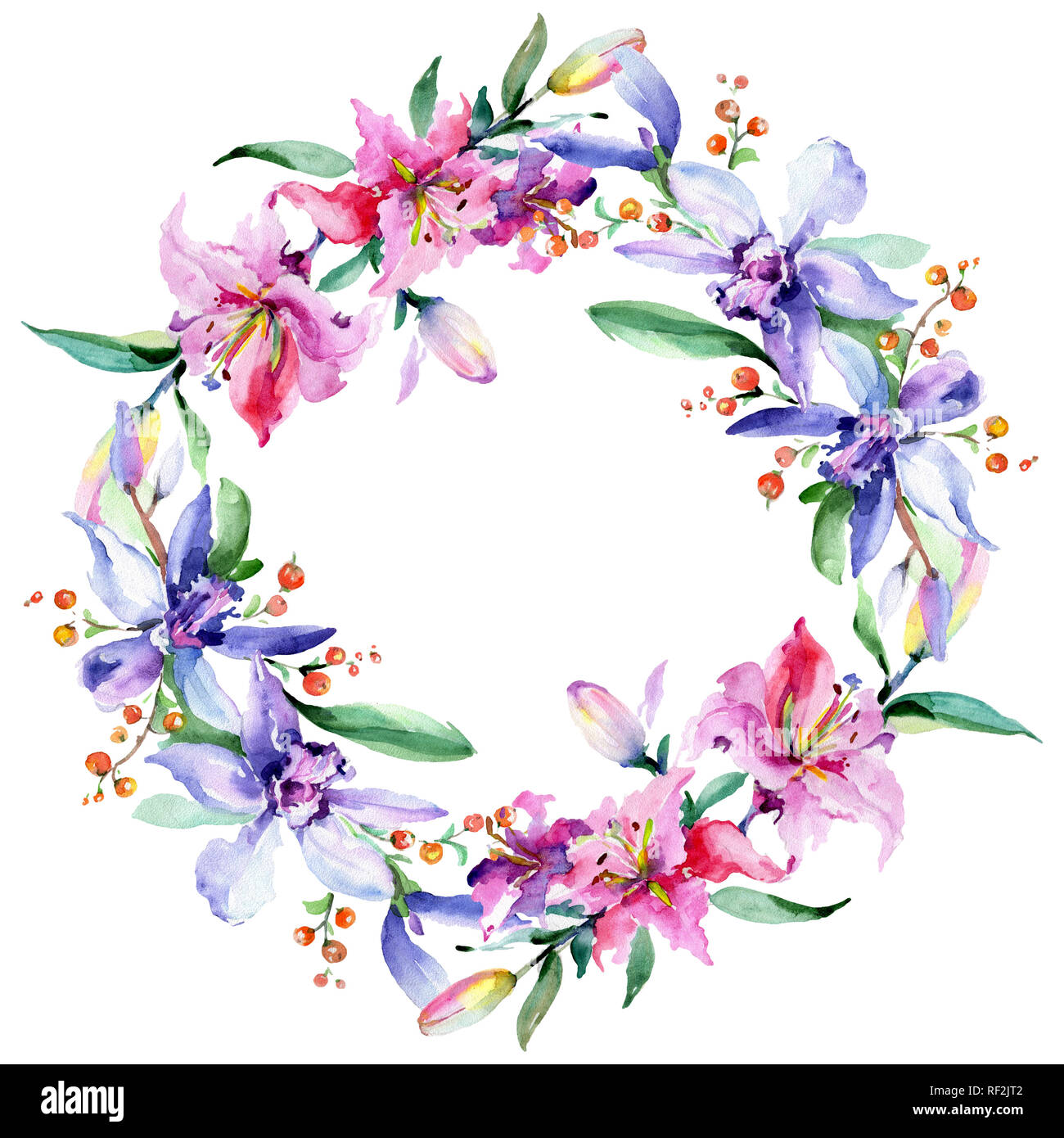 Orchidée fleur rose et pourpre. Lame de ressort sauvages isolés de fleurs sauvages. Contexte aquarelle illustration set. Aquarelle Dessin aquarelle mode iso Banque D'Images