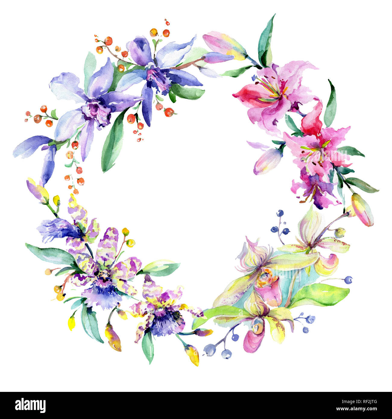 Orchidée fleur rose et pourpre. Lame de ressort sauvages isolés de fleurs sauvages. Contexte aquarelle illustration set. Aquarelle Dessin aquarelle mode iso Banque D'Images