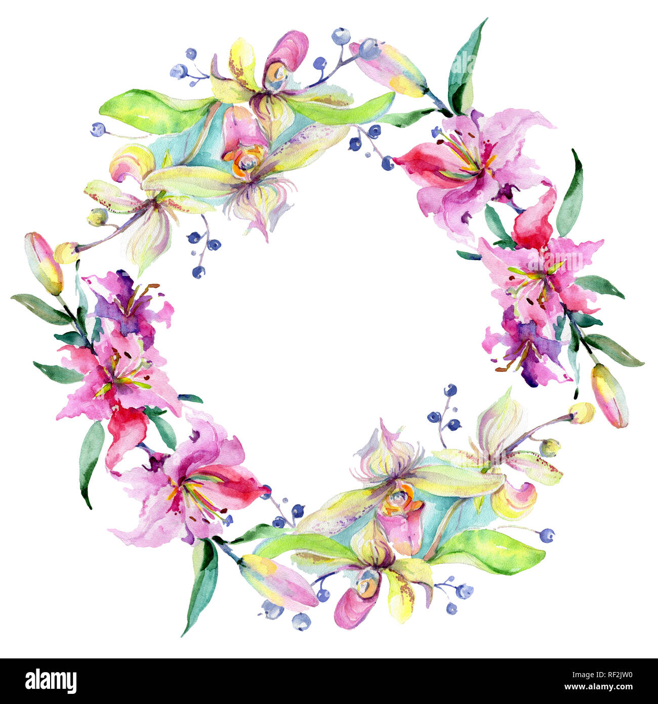 Orchidée fleur rose et pourpre. Lame de ressort sauvages isolés de fleurs sauvages. Contexte aquarelle illustration set. Aquarelle Dessin aquarelle mode iso Banque D'Images