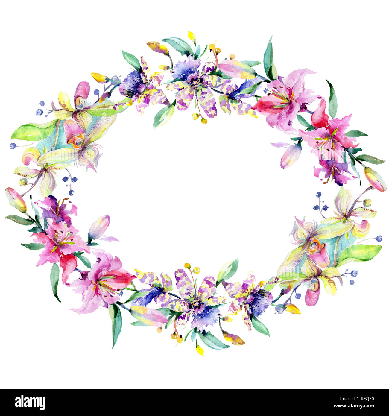 Orchidée fleur rose et pourpre. Lame de ressort sauvages isolés de fleurs sauvages. Contexte aquarelle illustration set. Aquarelle Dessin aquarelle mode iso Banque D'Images