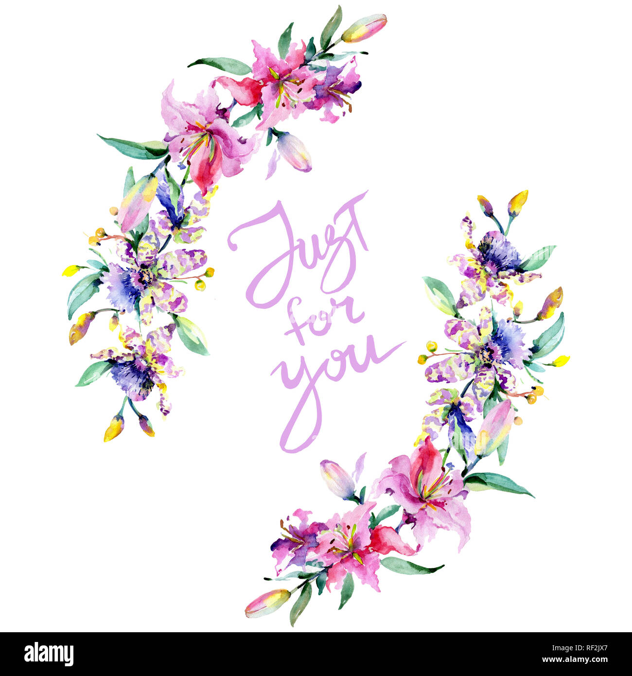 Orchidée fleur rose et pourpre. Lame de ressort sauvages isolés de fleurs sauvages. Contexte aquarelle illustration set. Aquarelle Dessin aquarelle mode iso Banque D'Images