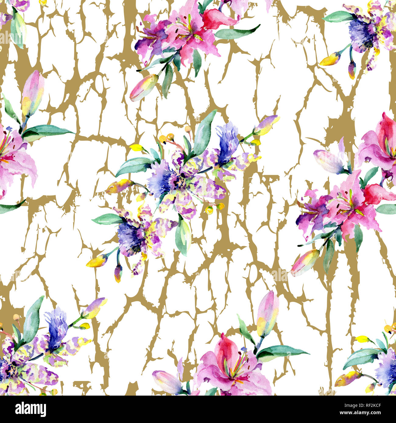 Orchidée fleur rose et pourpre. Printemps sauvage de fleurs sauvages de la feuille. Illustration à l'aquarelle. Aquarelle Dessin aquarelle mode isolé. Retour transparente Banque D'Images