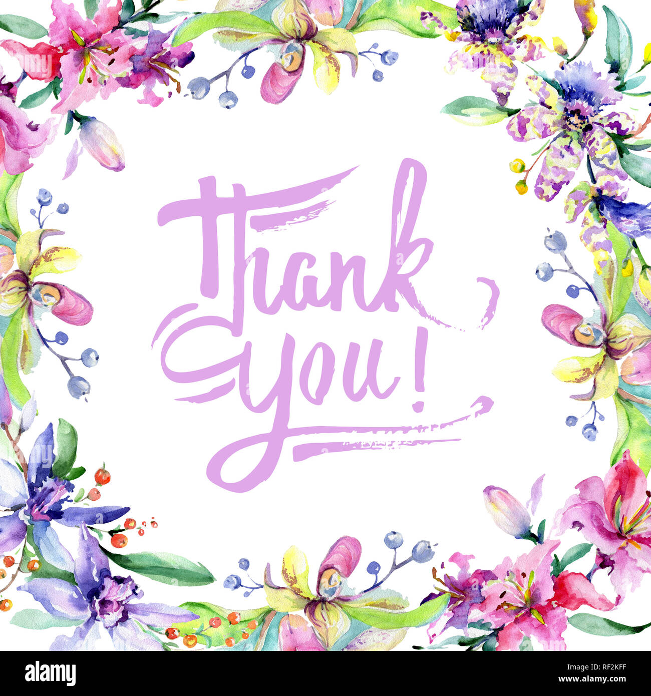 Orchidée fleur rose et pourpre. Lame de ressort sauvages isolés de fleurs sauvages. Contexte aquarelle illustration set. Aquarelle Dessin aquarelle mode iso Banque D'Images