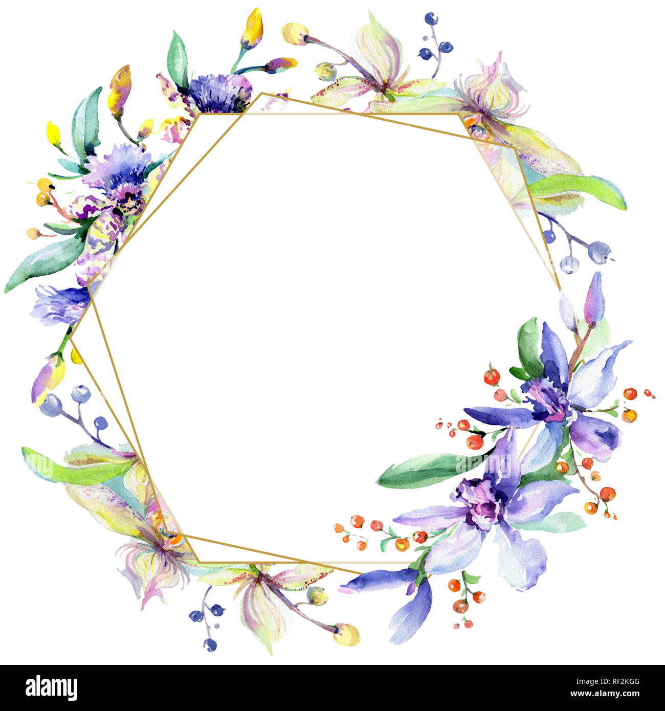 Orchidée fleur rose et pourpre. Lame de ressort sauvages isolés de fleurs sauvages. Contexte aquarelle illustration set. Aquarelle Dessin aquarelle mode iso Banque D'Images