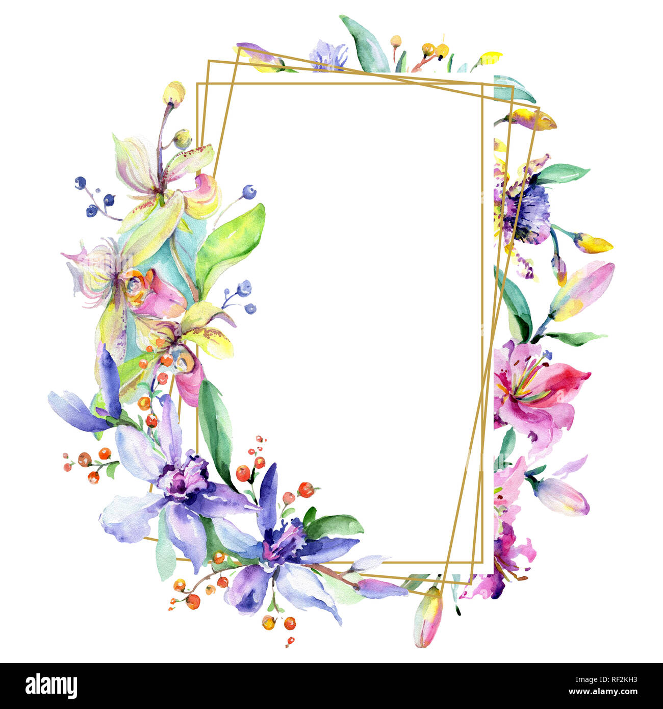 Orchidée fleur rose et pourpre. Lame de ressort sauvages isolés de fleurs sauvages. Contexte aquarelle illustration set. Aquarelle Dessin aquarelle mode iso Banque D'Images