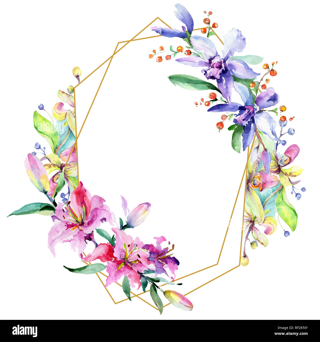 Orchidée fleur rose et pourpre. Lame de ressort sauvages isolés de fleurs sauvages. Contexte aquarelle illustration set. Aquarelle Dessin aquarelle mode iso Banque D'Images