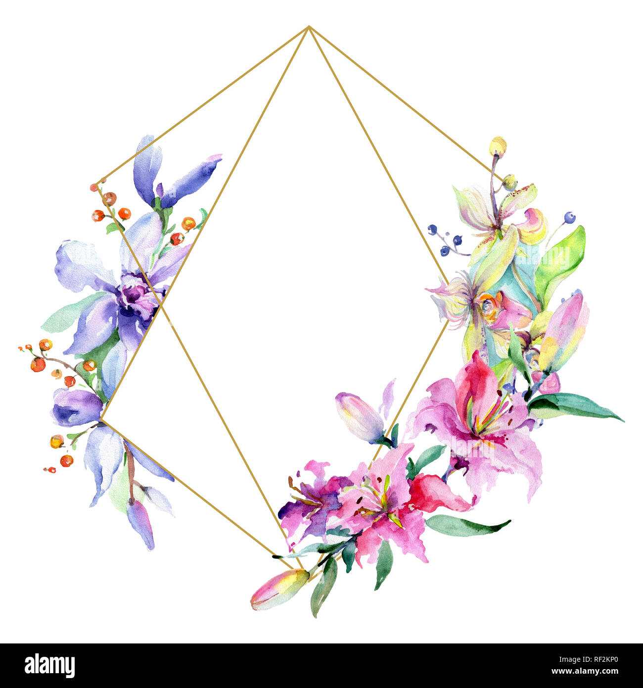 Orchidée fleur rose et pourpre. Lame de ressort sauvages isolés de fleurs sauvages. Contexte aquarelle illustration set. Aquarelle Dessin aquarelle mode iso Banque D'Images