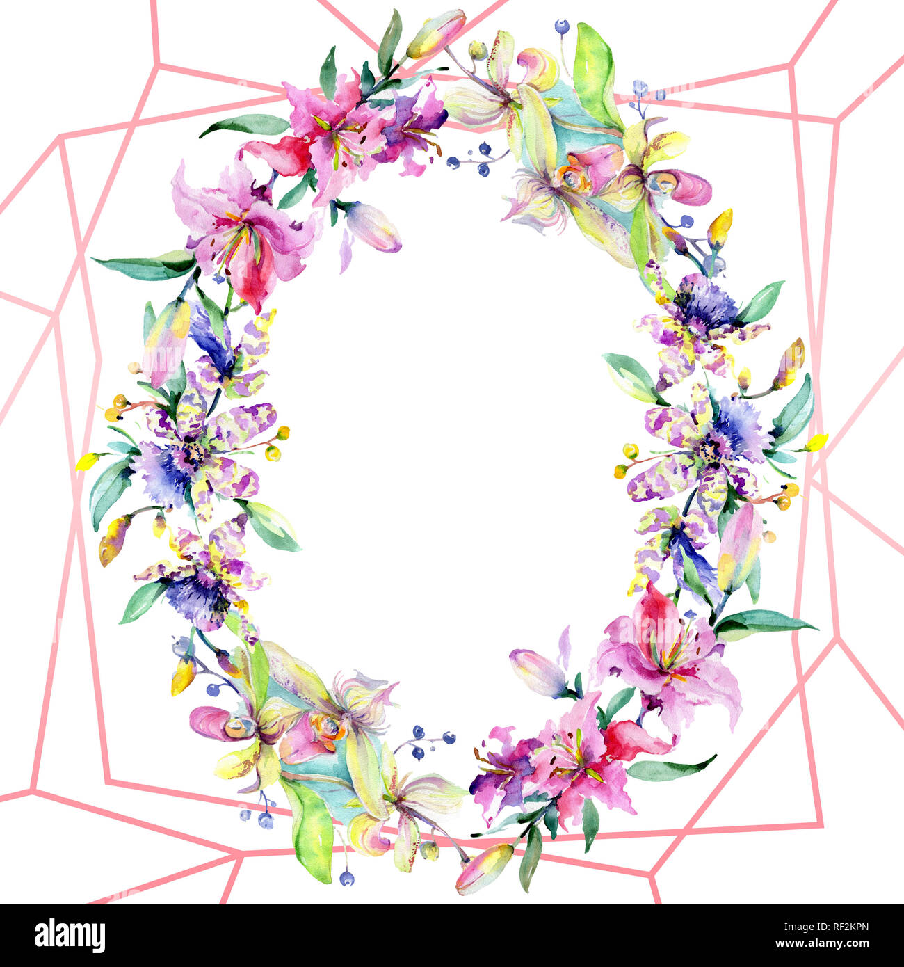 Orchidée fleur rose et pourpre. Lame de ressort sauvages isolés de fleurs sauvages. Contexte aquarelle illustration set. Aquarelle Dessin aquarelle mode iso Banque D'Images