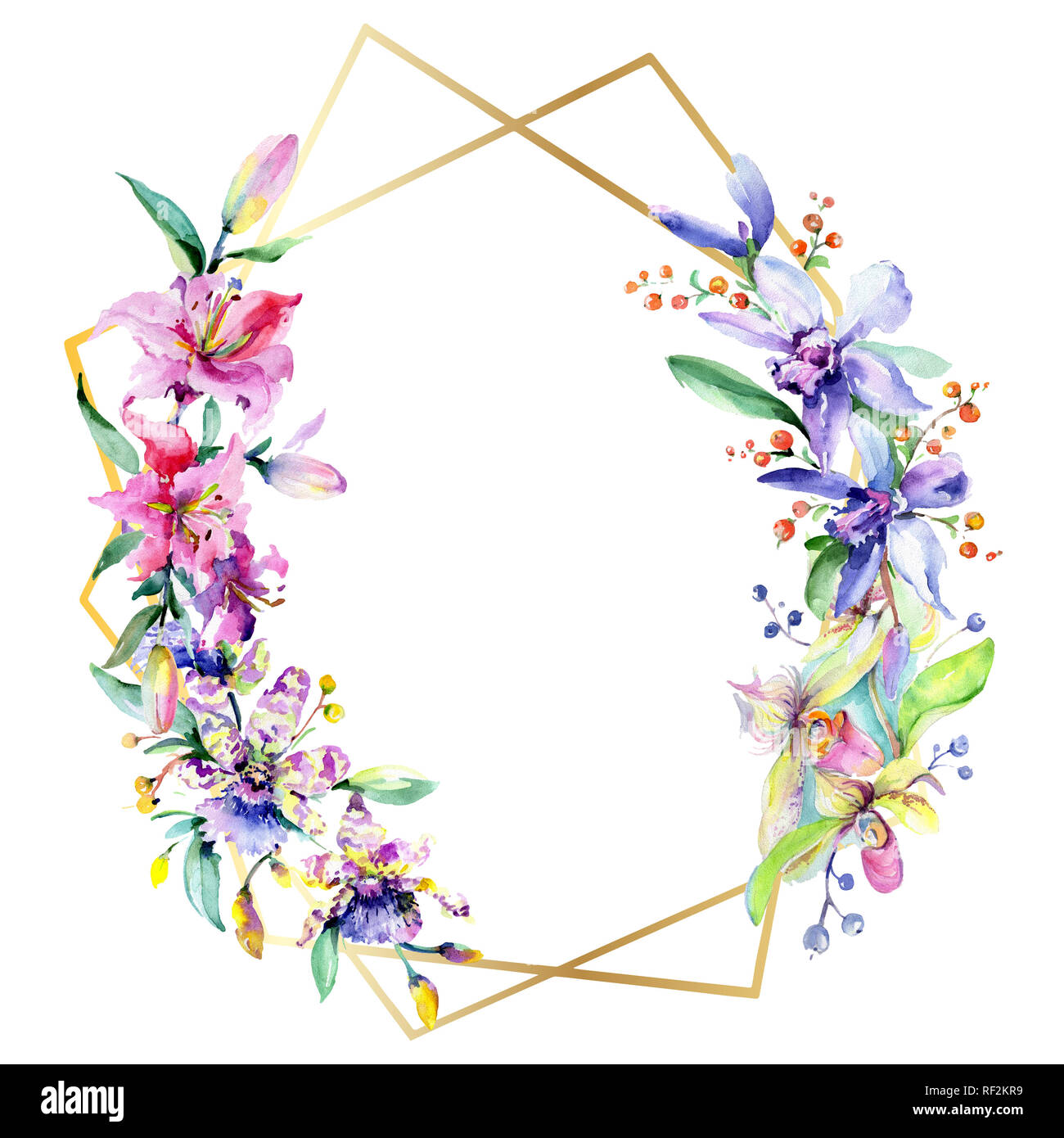 Orchidée fleur rose et pourpre. Lame de ressort sauvages isolés de fleurs sauvages. Contexte aquarelle illustration set. Aquarelle Dessin aquarelle mode iso Banque D'Images