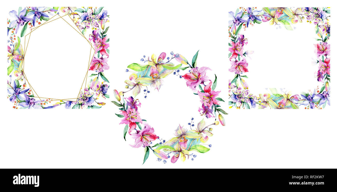 Orchidée fleur rose et pourpre. Lame de ressort sauvages isolés de fleurs sauvages. Contexte aquarelle illustration set. Aquarelle Dessin aquarelle mode iso Banque D'Images